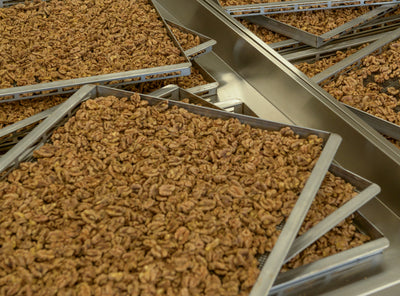 Die Kunst & Wissenschaft der langsamen und schonenden Trocknung