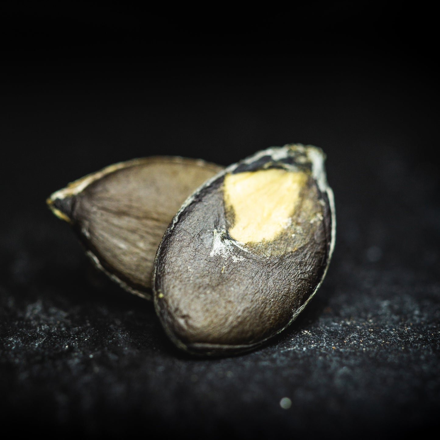 Activated Organic Pumpkin Seeds