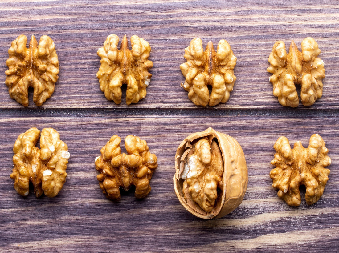 Aktivierte Bio-Walnüsse – Omega-3 für Gehirn und Nervenzellen