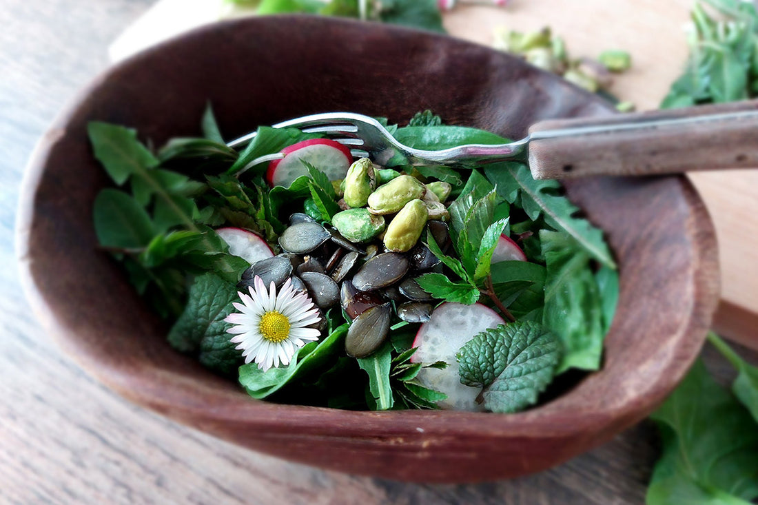Frühlingssalat mit Wildkräutern und aktivierten Kürbiskernen und Pistazien